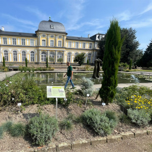 Botanischer-Garten-Bonn